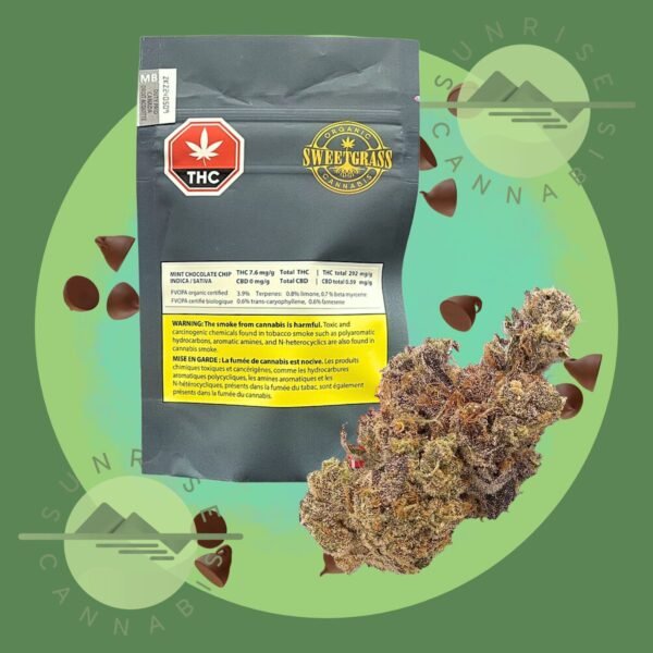 MINT CHOCOLATE - SWEETGRASS - 3.5G