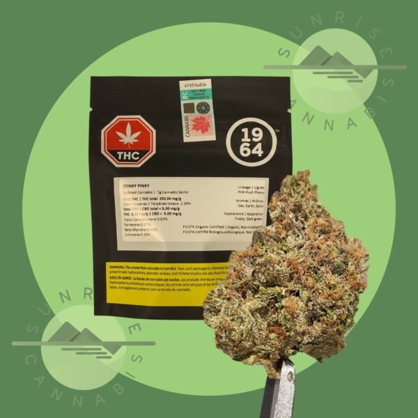 STINKY PINKY - ORGANIC - 1964 - 7G