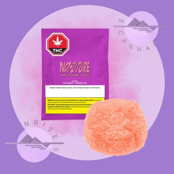 THE PINK ONE (STRAWBERRY LEMONADE) - NO FUTURE - SATIVA