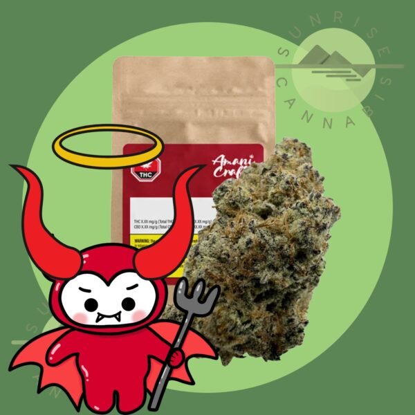 DANTE'S INFERNO  - AMANI CRAFT - 7G