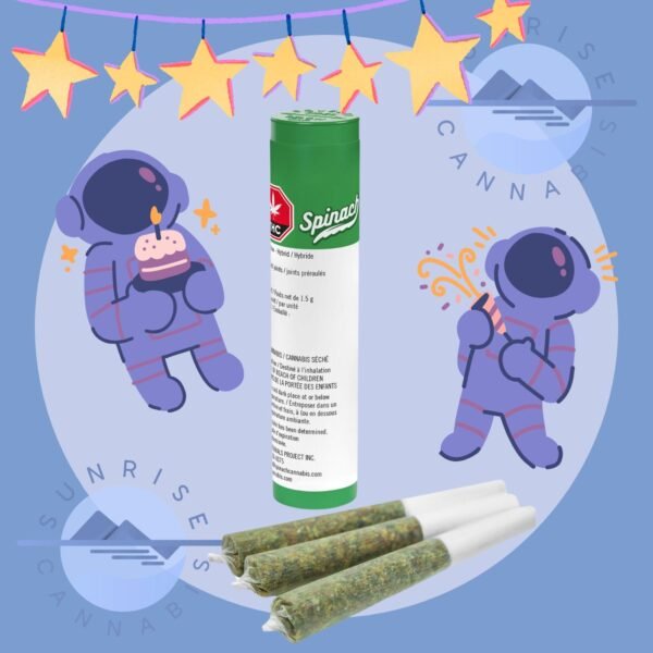 SPACE CAKE - SPINACH - 3X0.5G