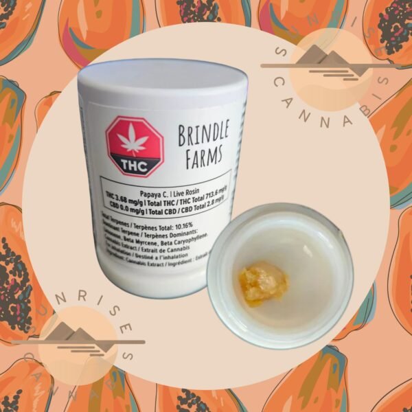 PAPAYA C - BRINDLE FARMS  - 1G