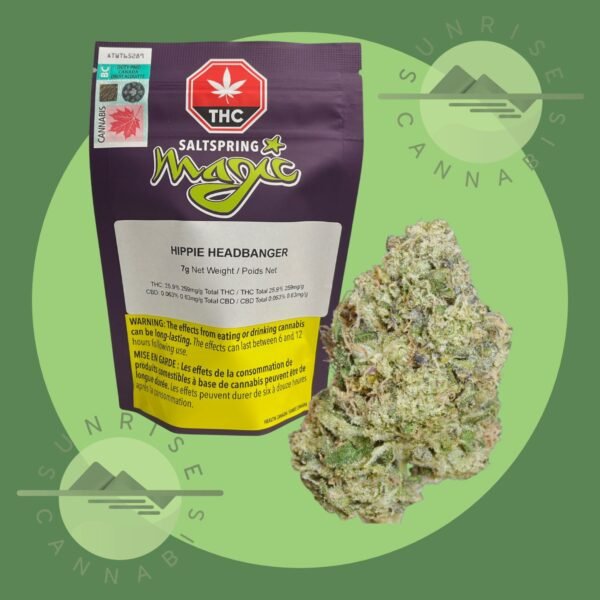 HIPPIE HEADBANGER - SALTSPRING MAGIC (DFG) - 7G