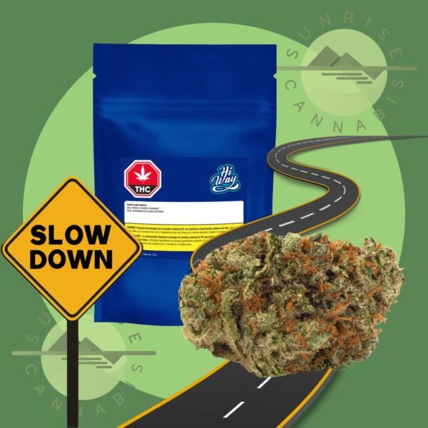SLOW LANE INDICA - HIWAY - 28G