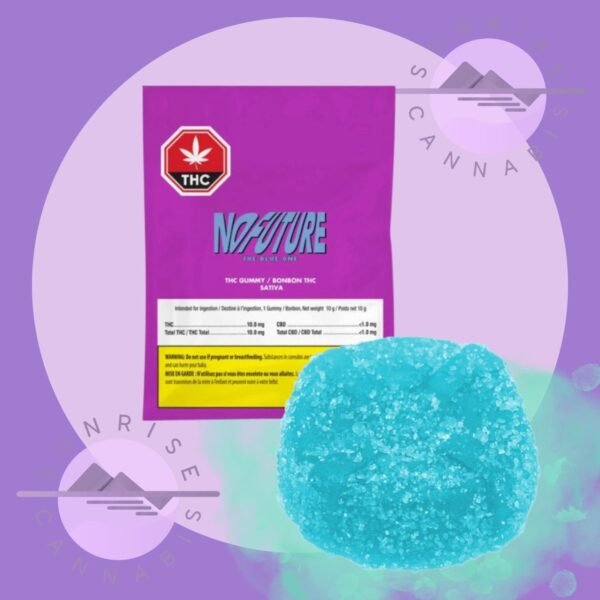 THE BLUE ONE (BERRIES) - NO FUTURE - SATIVA