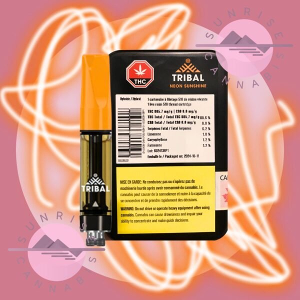 NEON SUNSHINE - TRIBAL  - 1G
