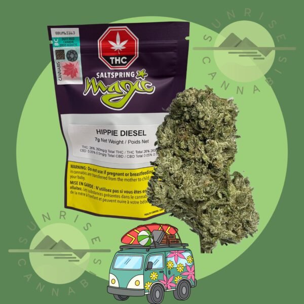 HIPPIE DIESEL - SALTSPRING MAGIC (DFG) - 7G