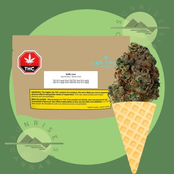 WAFFLE CONE - LOUD PLUG - 28G